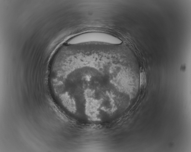 X0000115490243200912041022