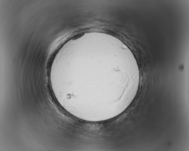 X0000115490245200912041022