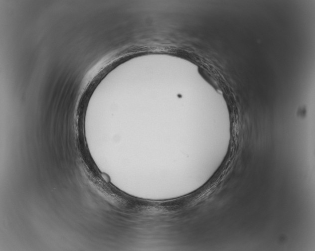 X0000115490246200912041022