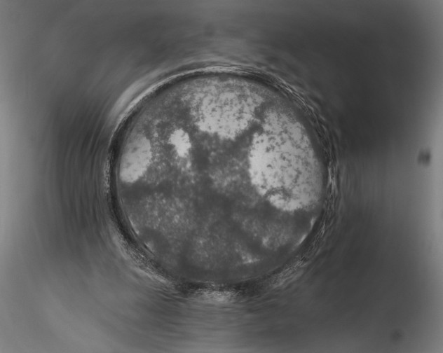 X0000115490247200912041022
