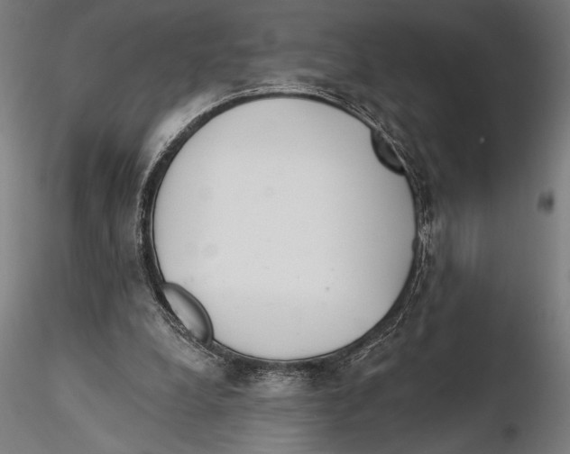 X0000115490248200912041022