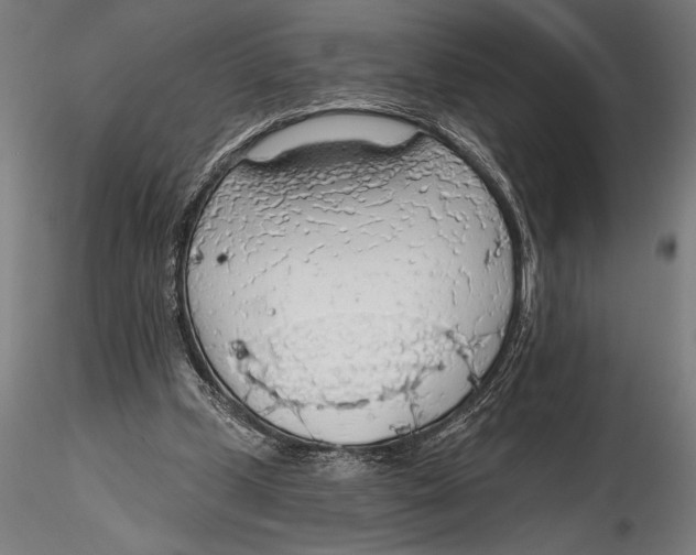 X0000115490249200912041022