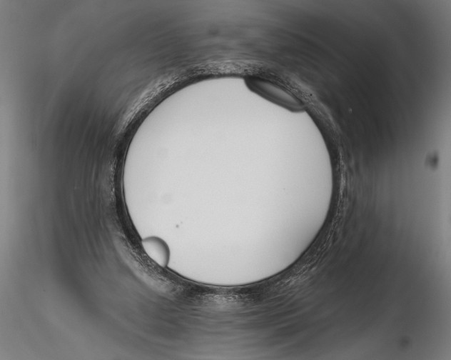 X0000115490250200912041022