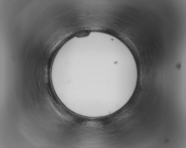 X0000115490251200912041022