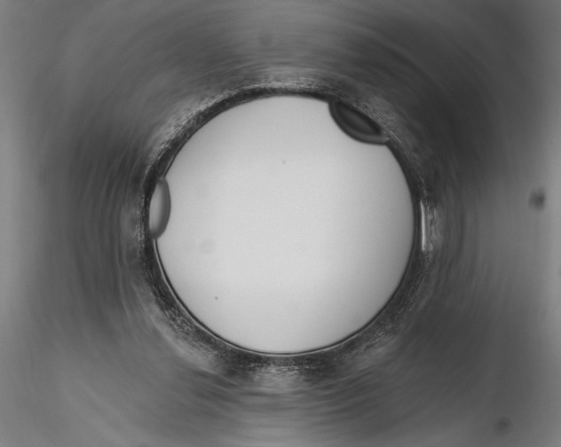 X0000115490252200912041022
