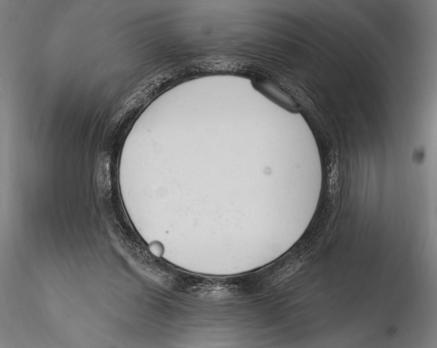 X0000115490254200912041022