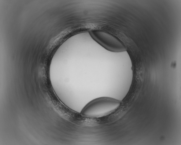 X0000115490256200912041022