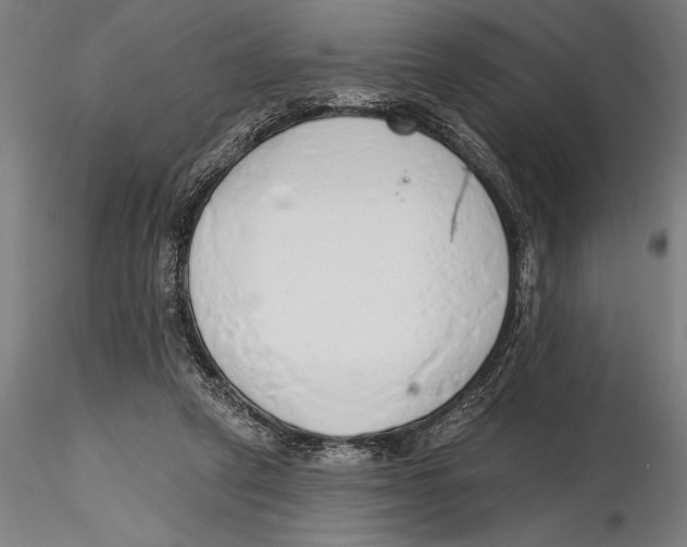 X0000115490257200912041022