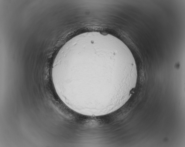 X0000115490259200912041022