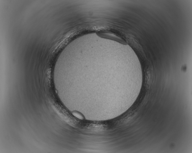 X0000115490260200912041022