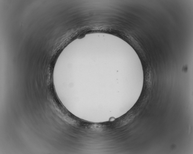 X0000115490261200912041022