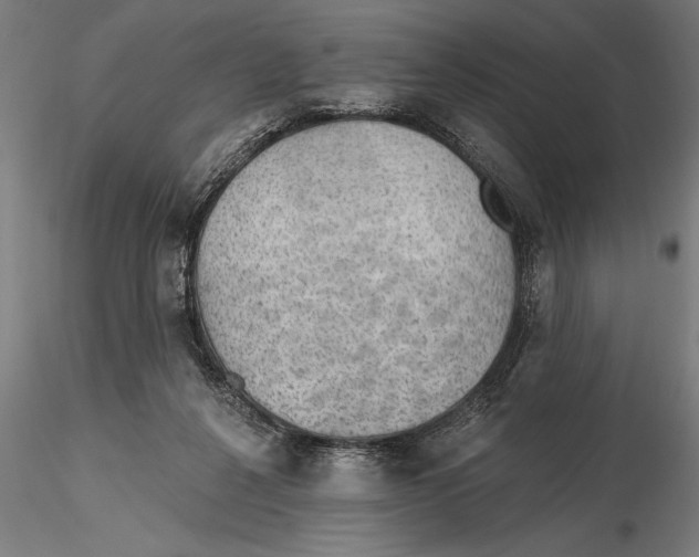 X0000115490264200912041022