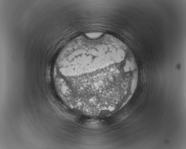 X0000115490267200912041022
