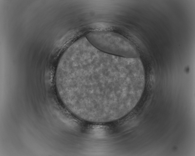 X0000115490268200912041022
