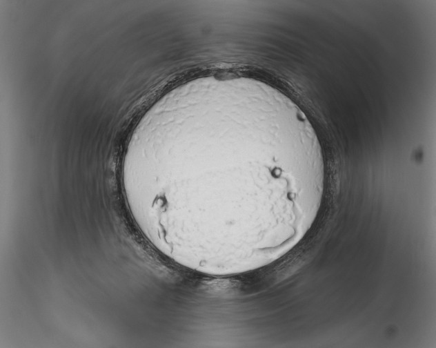 X0000115490269200912041022
