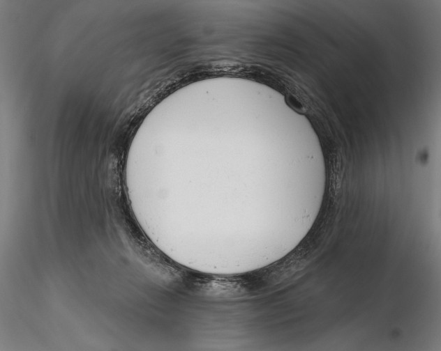 X0000115490270200912041022
