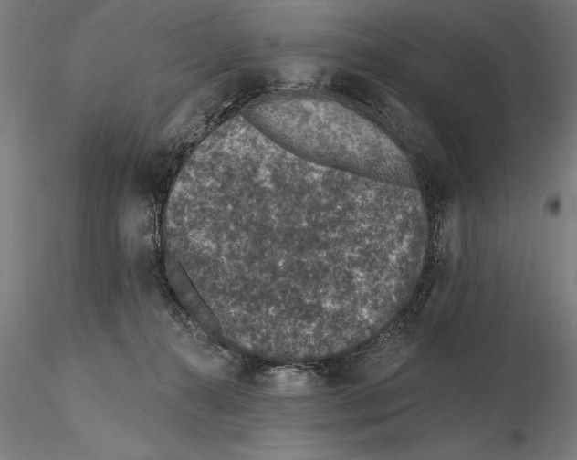 X0000115490272200912041022