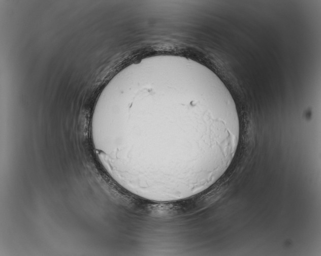 X0000115490273200912041022