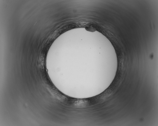 X0000115490274200912041022