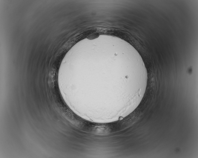 X0000115490275200912041022