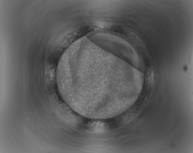 X0000115490276200912041022