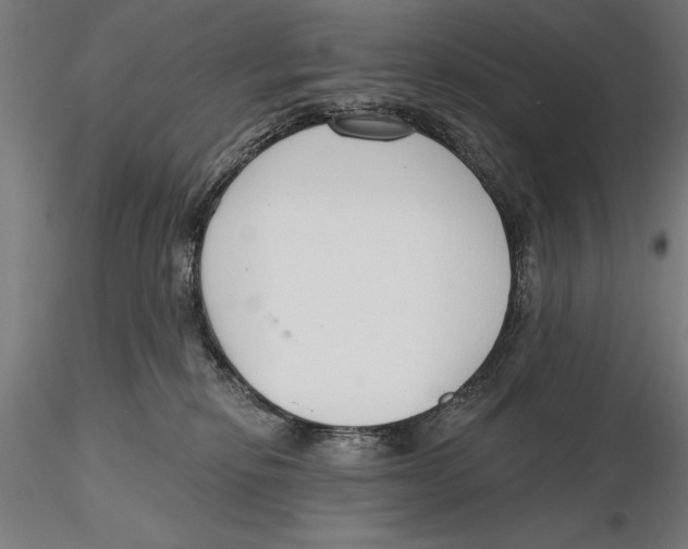X0000115490278200912041022