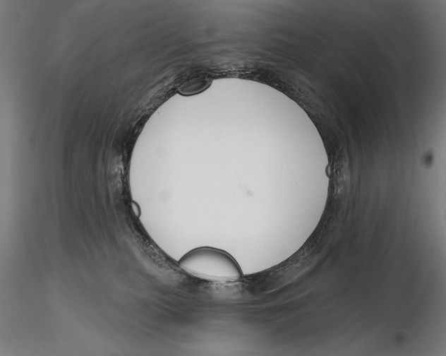 X0000115490279200912041022