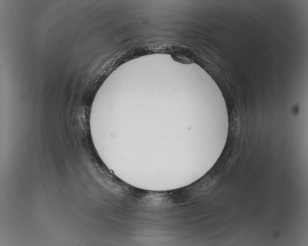 X0000115490280200912041022