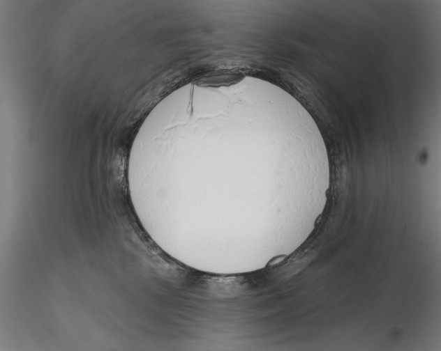 X0000115490281200912041022