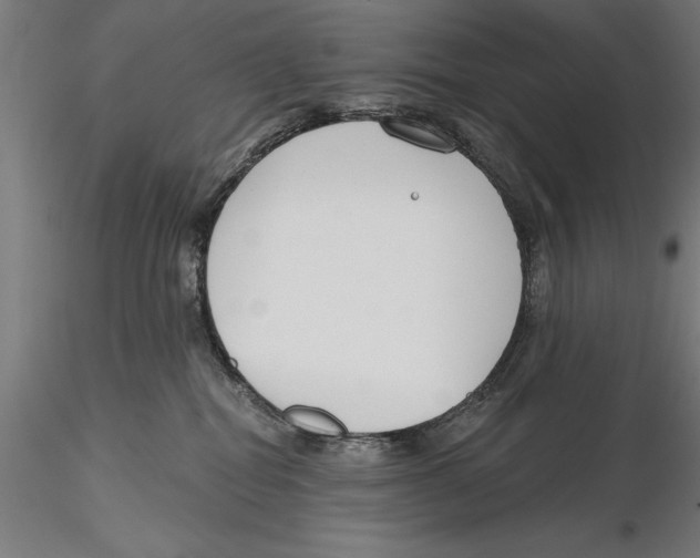 X0000115490282200912041022