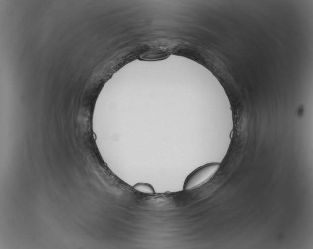 X0000115490283200912041022