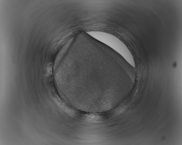 X0000115490284200912041022