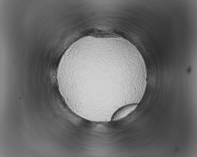 X0000115490285200912041022