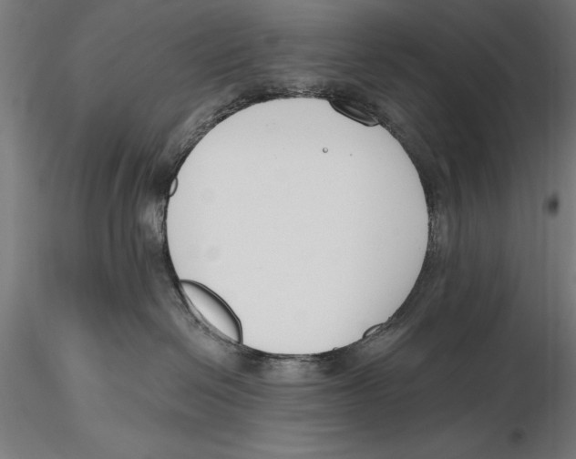 X0000115490286200912041022
