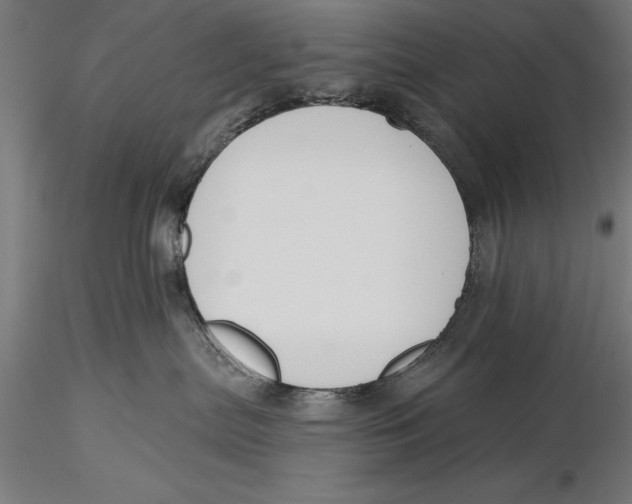 X0000115490287200912041022
