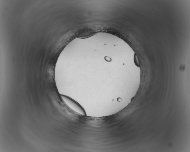 X0000115490288200912041022