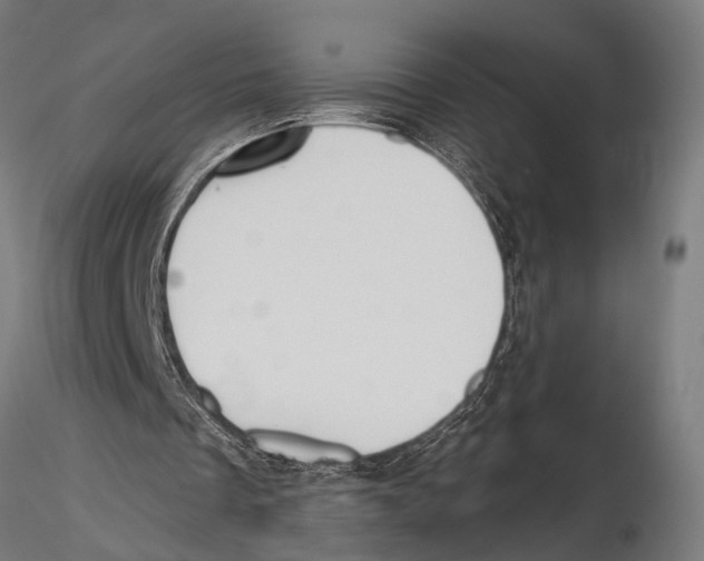 X0000115490289200912041022