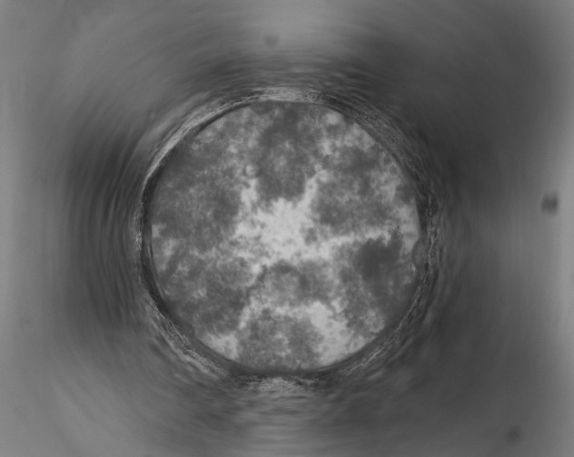 X0000115490290200912041022
