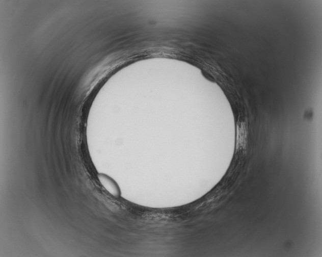 X0000115490291200912041022