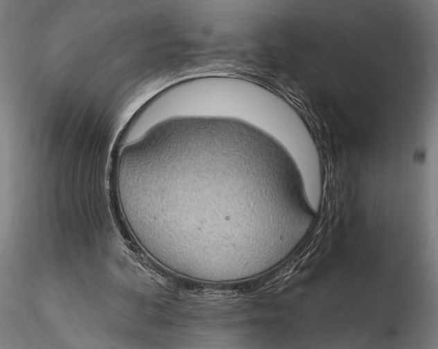 X0000115490292200912041022
