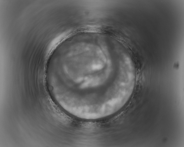 X0000115490293200912041021