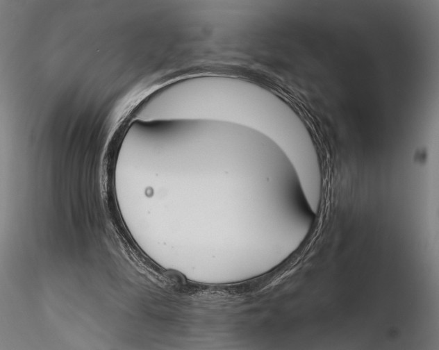 X0000115490294200912041021