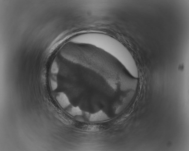 X0000115490295200912041021