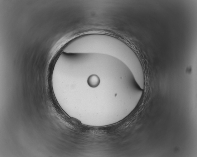 X0000115490296200912041021