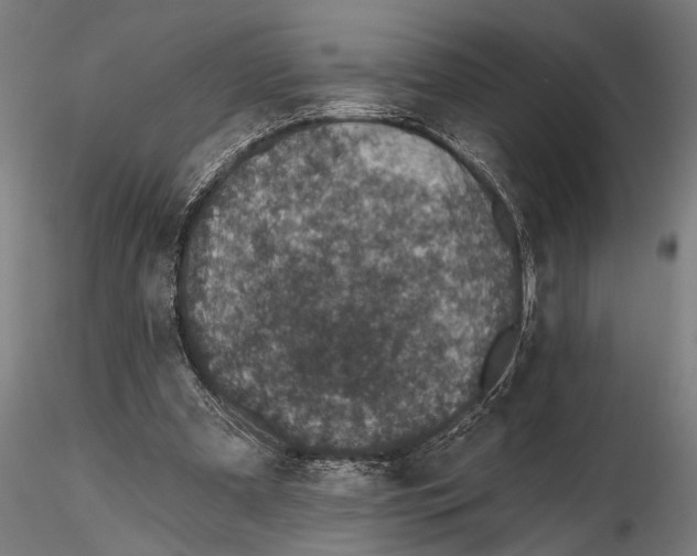 X0000115490297200912041021
