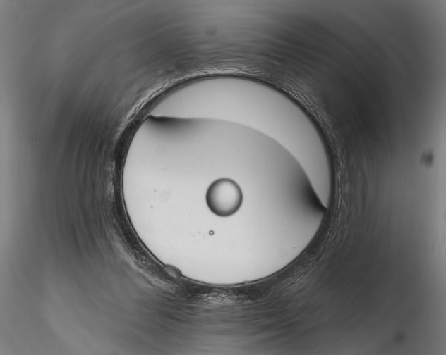 X0000115490300200912041021
