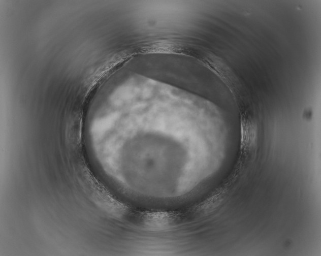X0000115490301200912041021