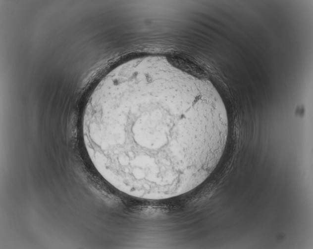 X0000115490303200912041021