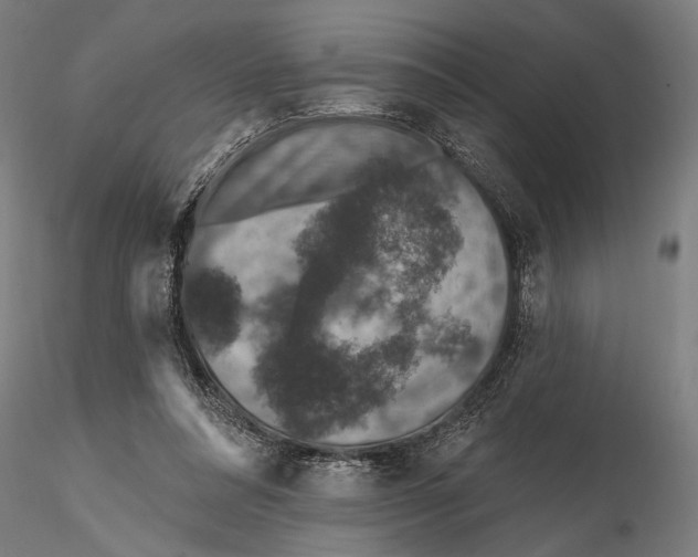 X0000115490304200912041021