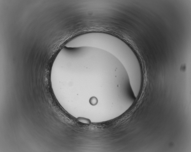 X0000115490305200912041021